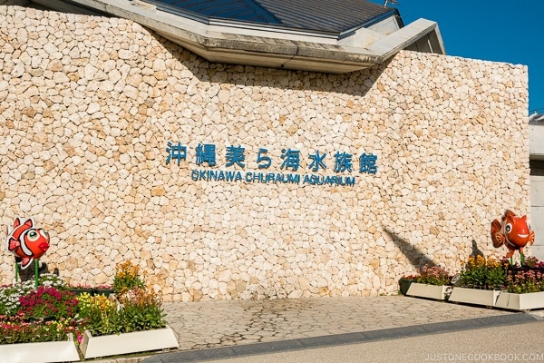 Okinawa Churaumi aquarium at Ocean Expo Park Okinawa | justonecookbook.com