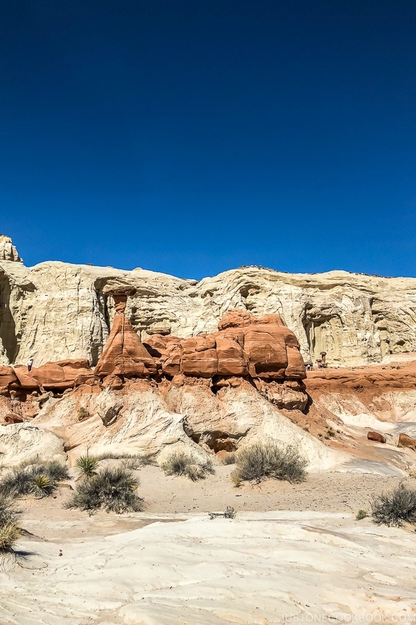 Toadstool Hoodoo trail Kanab Utah | justonecookbook.com