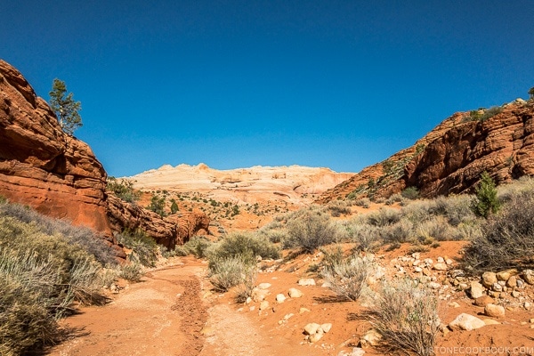 view from Wire Pass trail | justonecookbook.com