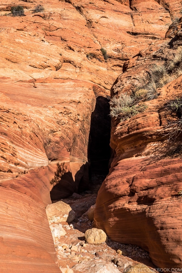 slot canyon on Wire Pass trail | justonecookbook.com
