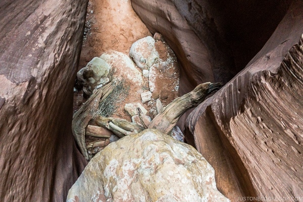 looking down an 8 foot drop Wire Pass trail | justonecookbook.com
