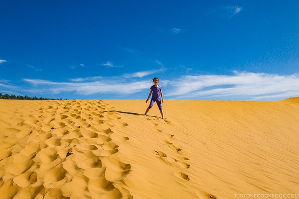 child standing in sand dune - Coral Pink Sand Dunes State Park | justonecookbook.com