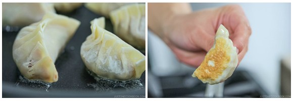 Gyoza with Wings 3