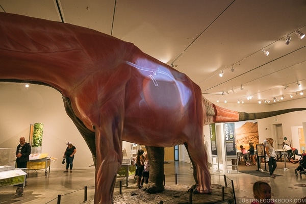 dinosaur exhibit at Turtle Bay Exploration Park - Redding California Travel Guide | justonecookbook.com