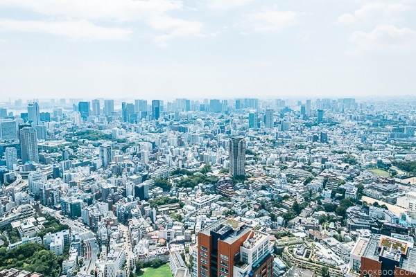 view of the city from Tokyo City View at Roppongi Hills Mori Tower - Tokyo Roppongi Travel Guide | www.justonecookbook.com