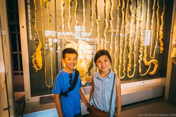 animal intestine - Tokyo National Museum of Nature and Science Guide | www.justonecookbook.com