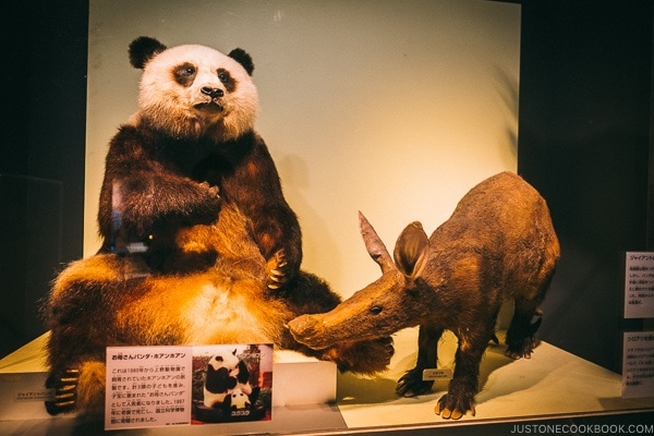stuffed panda - Tokyo National Museum of Nature and Science Guide | www.justonecookbook.com