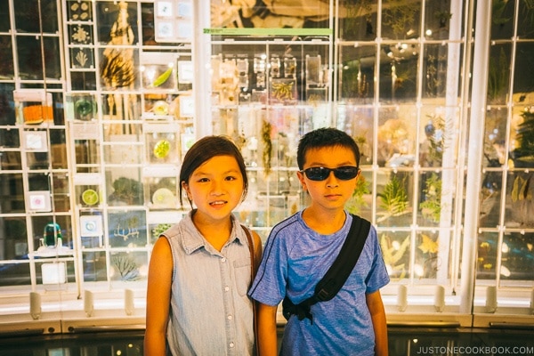 Just One Cookbook children at National Museum of Nature and Science in Tokyo - Tokyo National Museum of Nature and Science Guide | www.justonecookbook.com