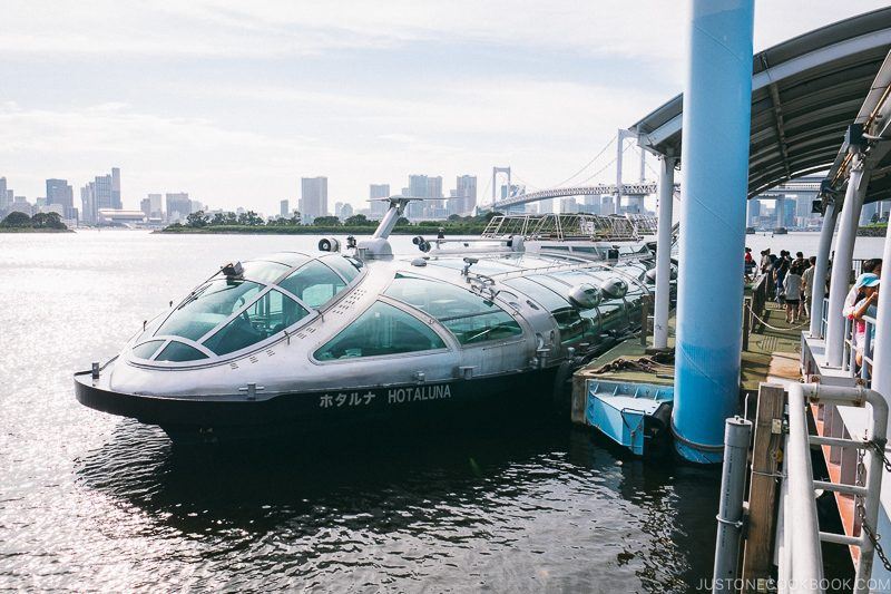 Tokyo Cruise HOTALUNA docked at Odaiba Sea Bus Station - Tokyo Cruise | www.justonecookbook.com
