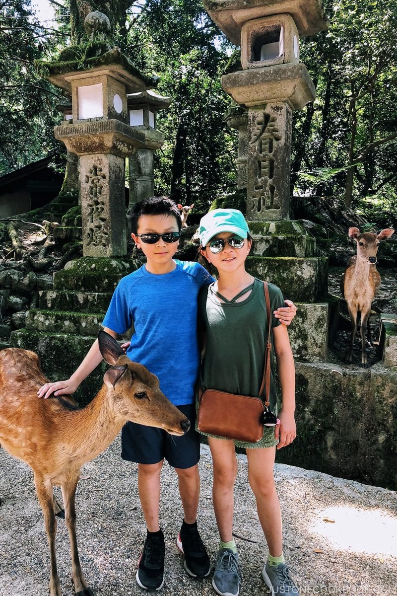 children with a deer | Nara Guide: Kasuga-taisha | www.justonecookbook.com