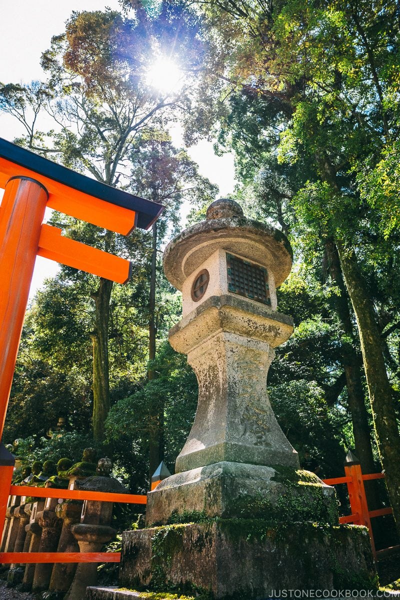 giant lanterns next to entrance gate at Kasuga-taisha | Nara Guide: Kasuga-taisha | www.justonecookbook.com