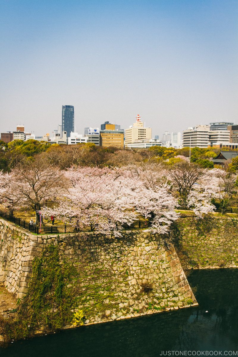 Osaka Castle wall and moat during cherry blossom - Osaka Guide: Osaka Castle| www.justonecookbook.com