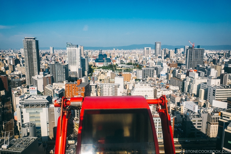 view of Osaka skyline from HEP FIVE FERRIS WHEEL - Osaka Guide: Umeda | www.justonecookbook.com