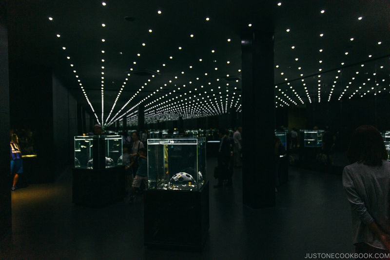 dimly lit room with exhibits at NIFREL - Osaka Guide: Expocity | www.justonecookbook.com