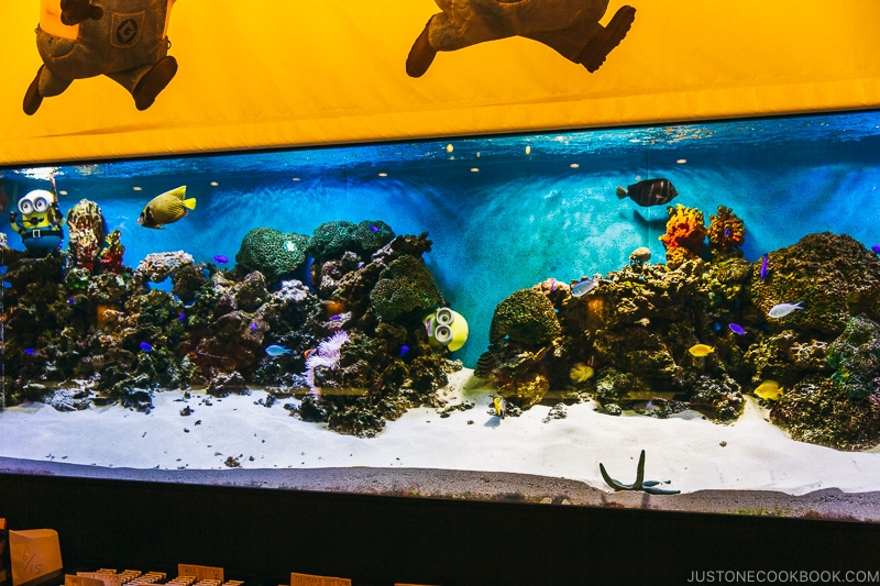 aquarium behind register at Hotel Universal Port - Osaka Guide: Universal Studios Japan | www.justonecookbook.com