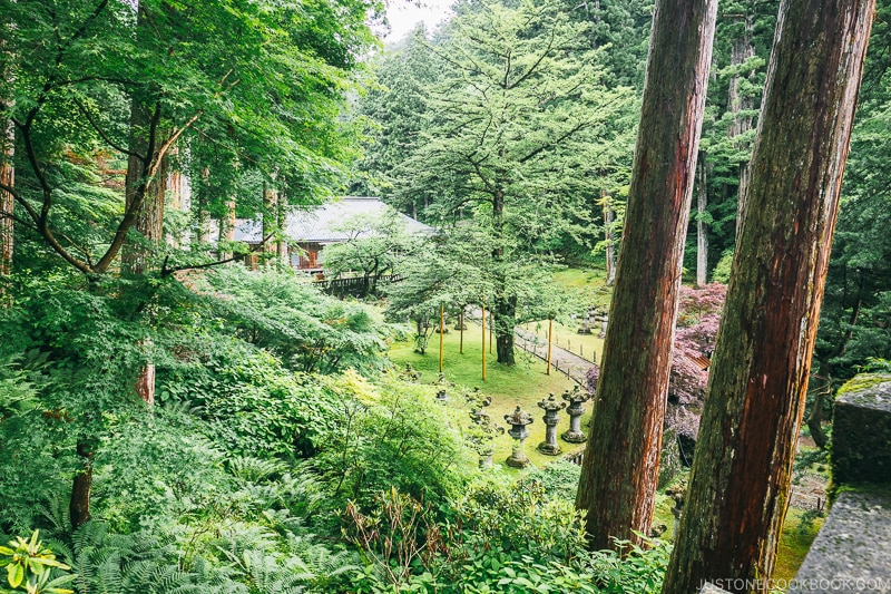 the view from the top of the shrine at Nikkosanrinnoji Taiyuin - Places to Visit and Things to do in Nikko | www.justonecookbook.com
