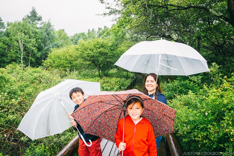 family with umbrella at Senjogahara Marsh - Things to do around Lake Chuzenji | www.justonecookbook.com