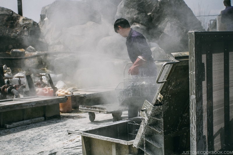 eggs turned black after finished cooking in hot springs - Hakone Ropeway and Owakudani Hell Valley | www.justonecookbook.com
