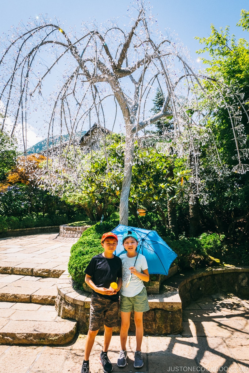 tree with glass flowers - The Fabulous Museums in Hakone | www.justonecookbook.com 