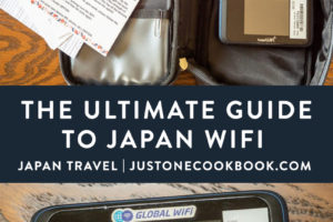 mobile data plan and wifi options for Japan visitors