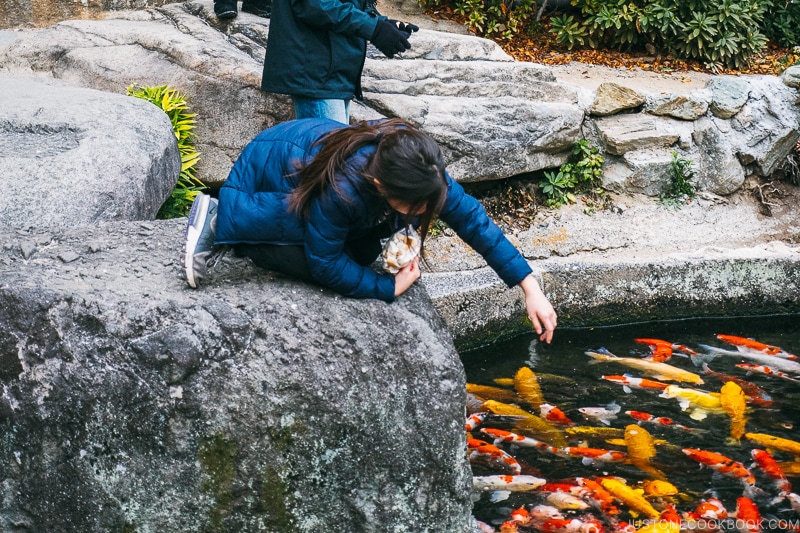 Children feeding koi fish at Hotel Sekifu - Celebrate New Year at Isawa Onsen in Yamanishi | www.justonecookbook.com 