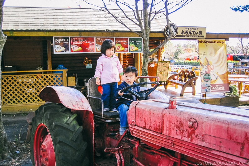 girl and boy on a farm tractor - Things to do around Lake Kawaguchi | www.justonecookbook.com 