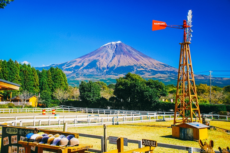 view of Mt. Fuji from Makaino Farm - Things to do around Lake Kawaguchi | www.justonecookbook.com 