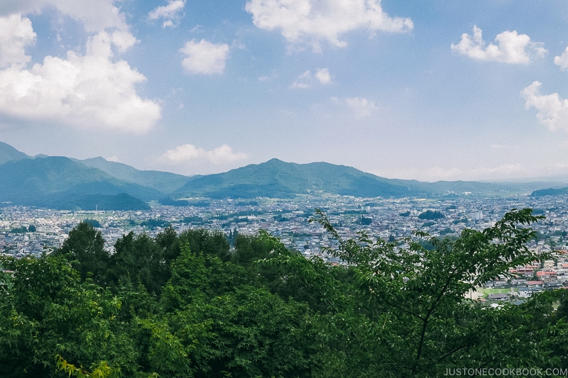 A tree with a mountain in the background