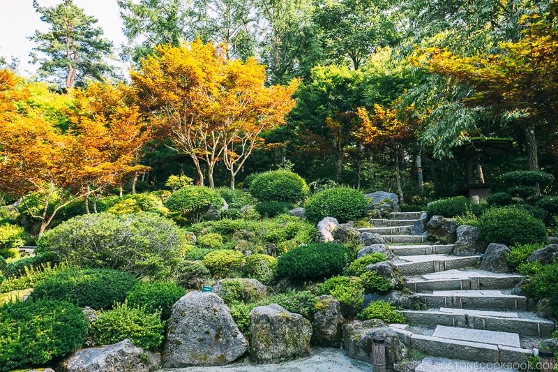 trees and stone paths at the garden at Hotel Kaneyamaen - Things to do around Lake Kawaguchi | www.justonecookbook.com 