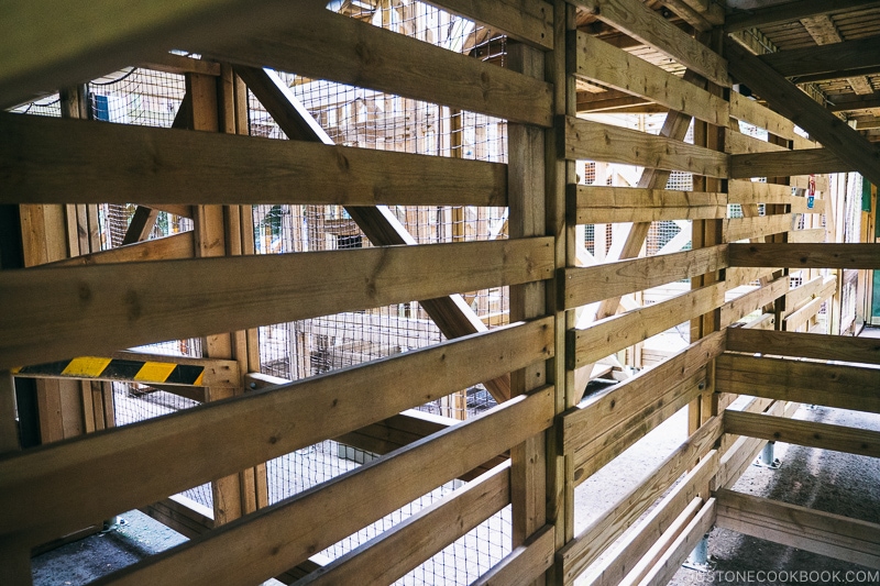 inside the maze