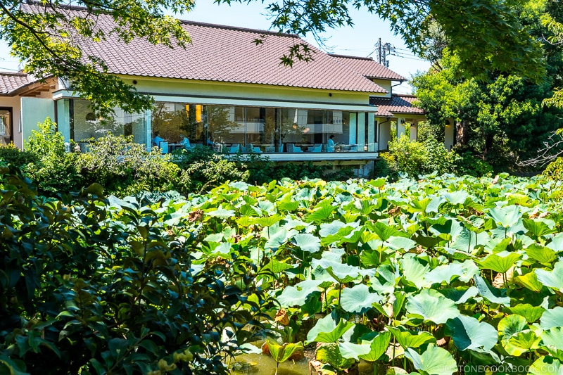 a room with large windows behind lotus pond