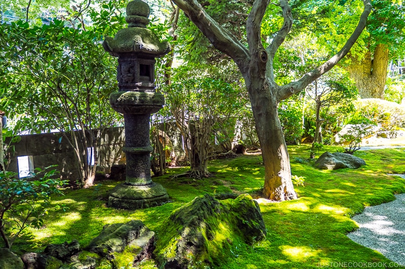 moss covered garden with stone lantern and trees