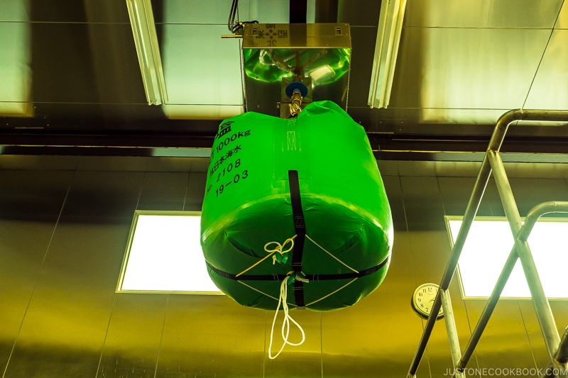 1000 kg bag of salt hanging from ceiling