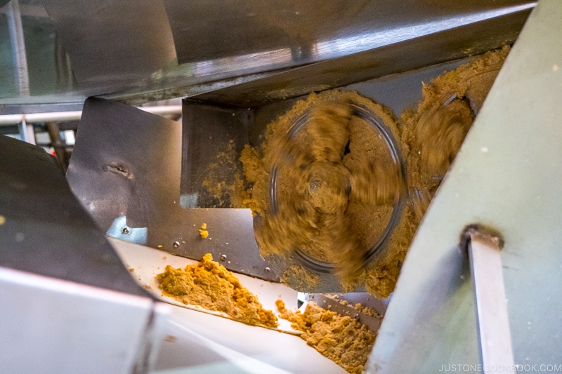 soy bean being crushed