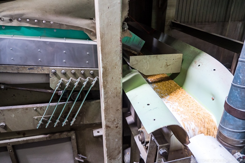 soybean flowing through machines