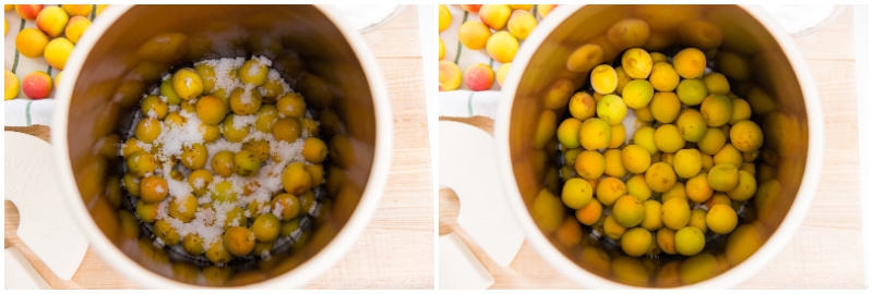 Umeboshi 5