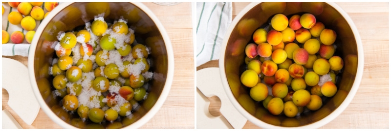 Umeboshi 7