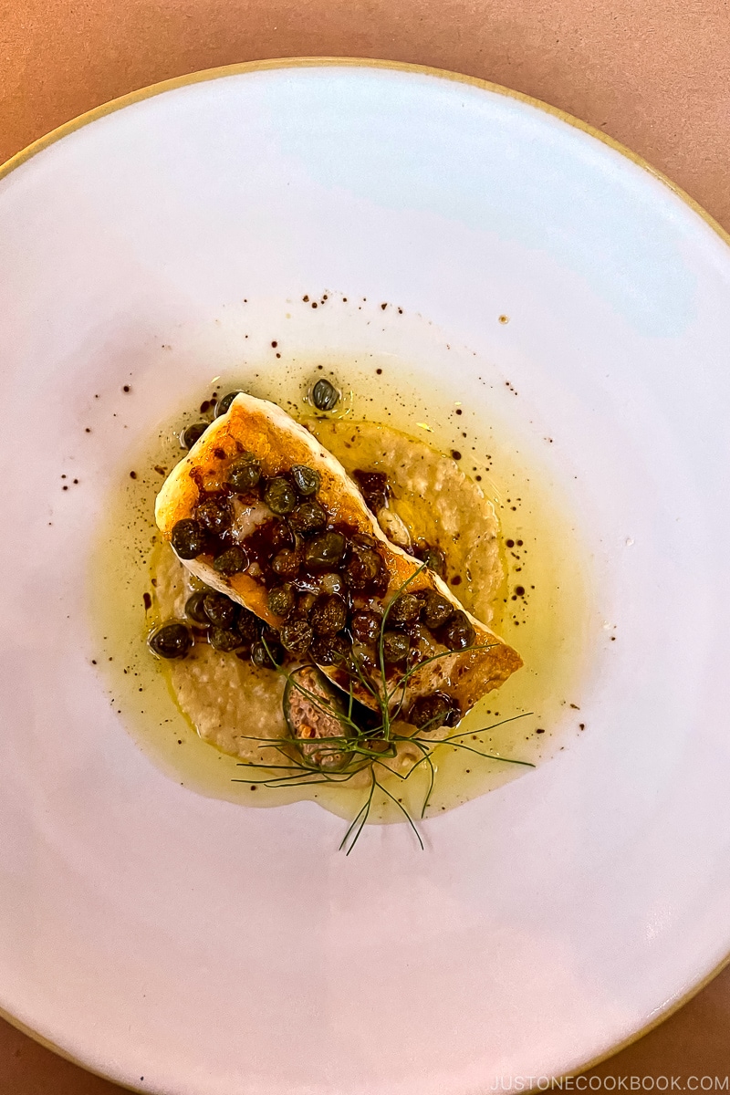 river sturgeon