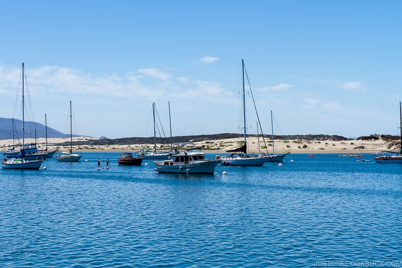 boats and paddle boater in Morro Bay