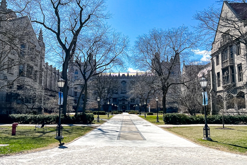Harper Memorial Library