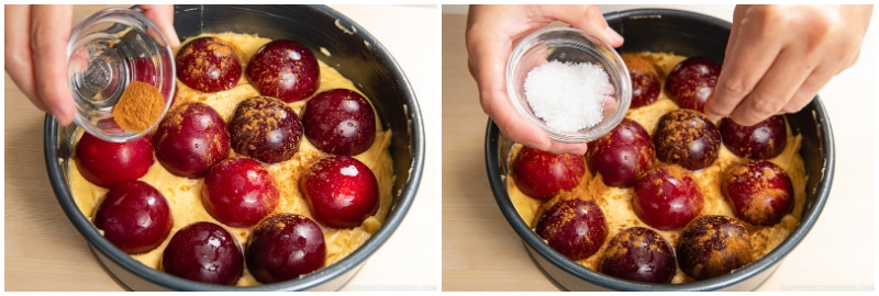 Plum Cake 13