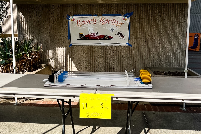 sign for roach racing on a wall