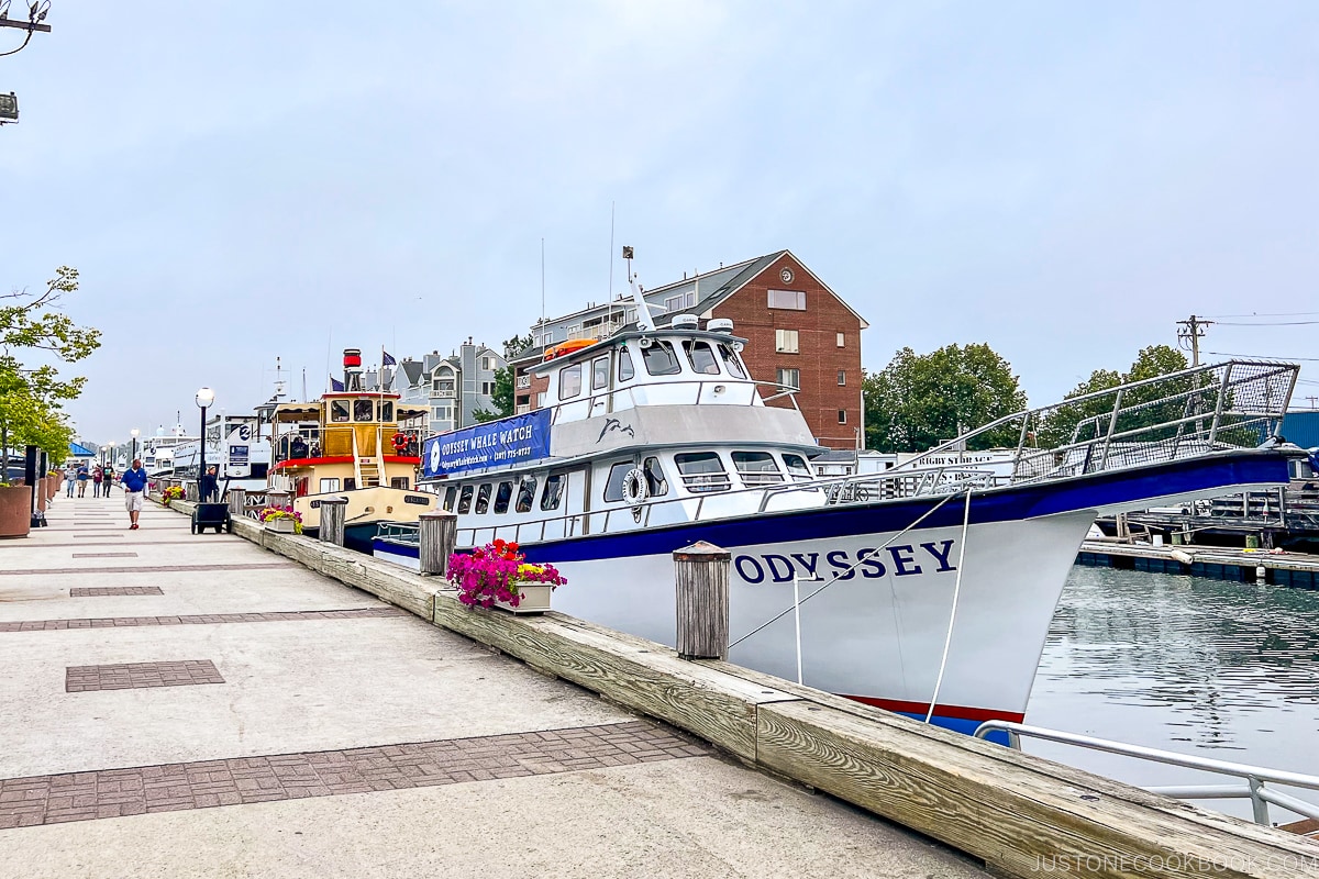 boat tours along the wharf