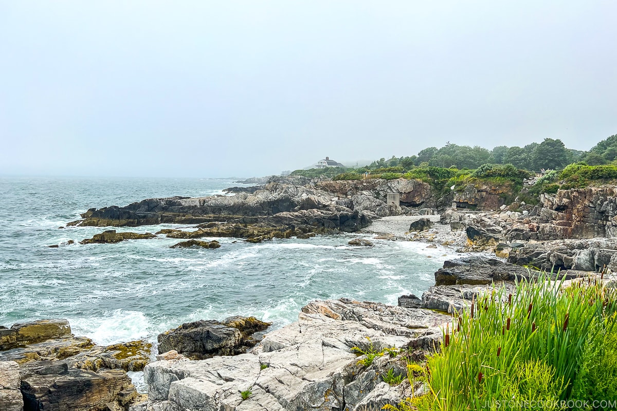 rocky seashore by Portland Head Light