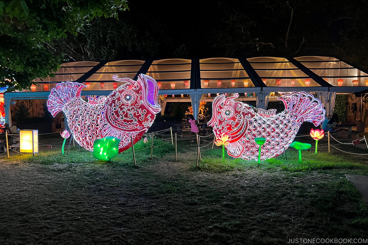 2 fish lanterns