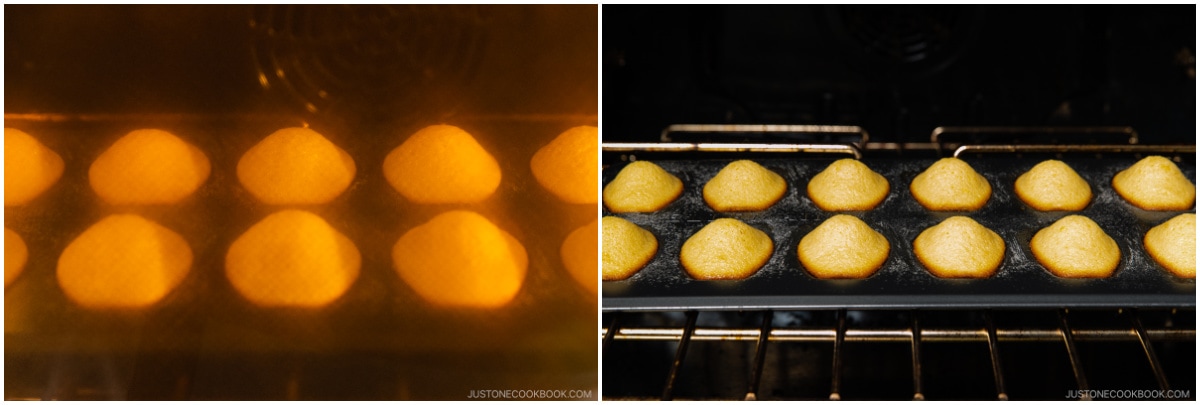 Madeleines 17