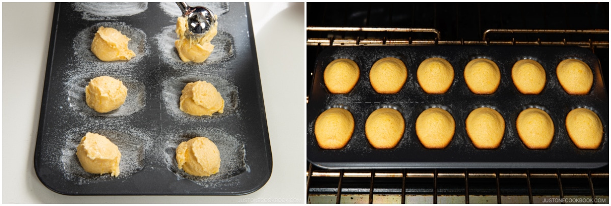 Madeleines 21