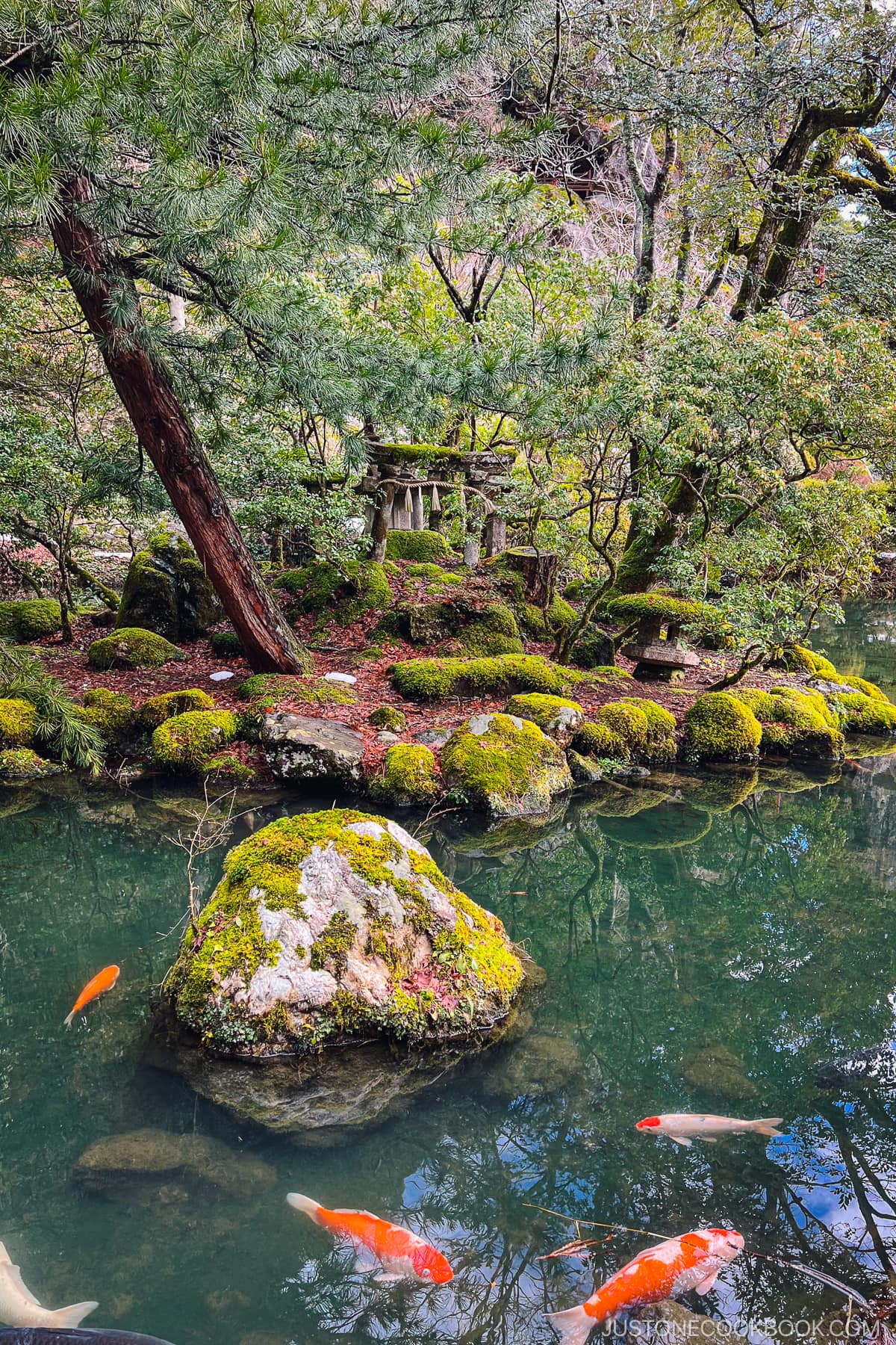 a pond with moss covered stone