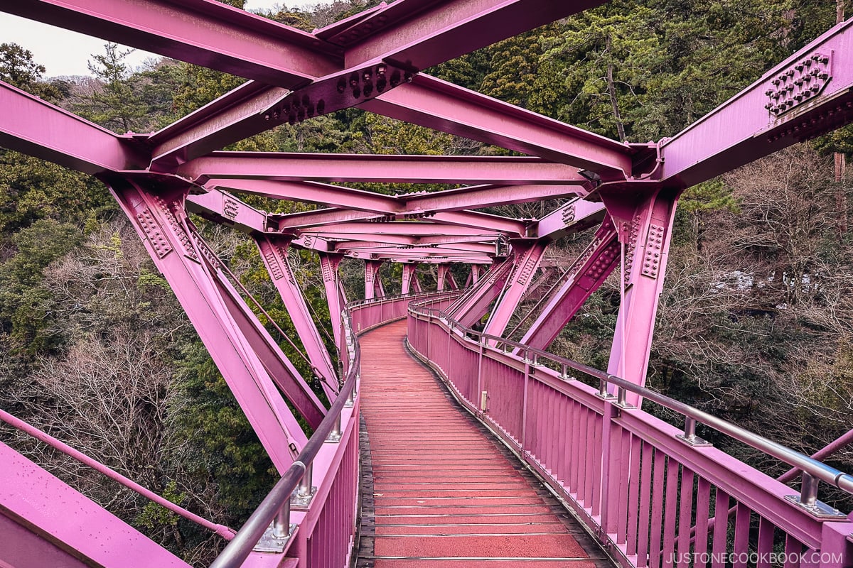 Ayatori Bridge