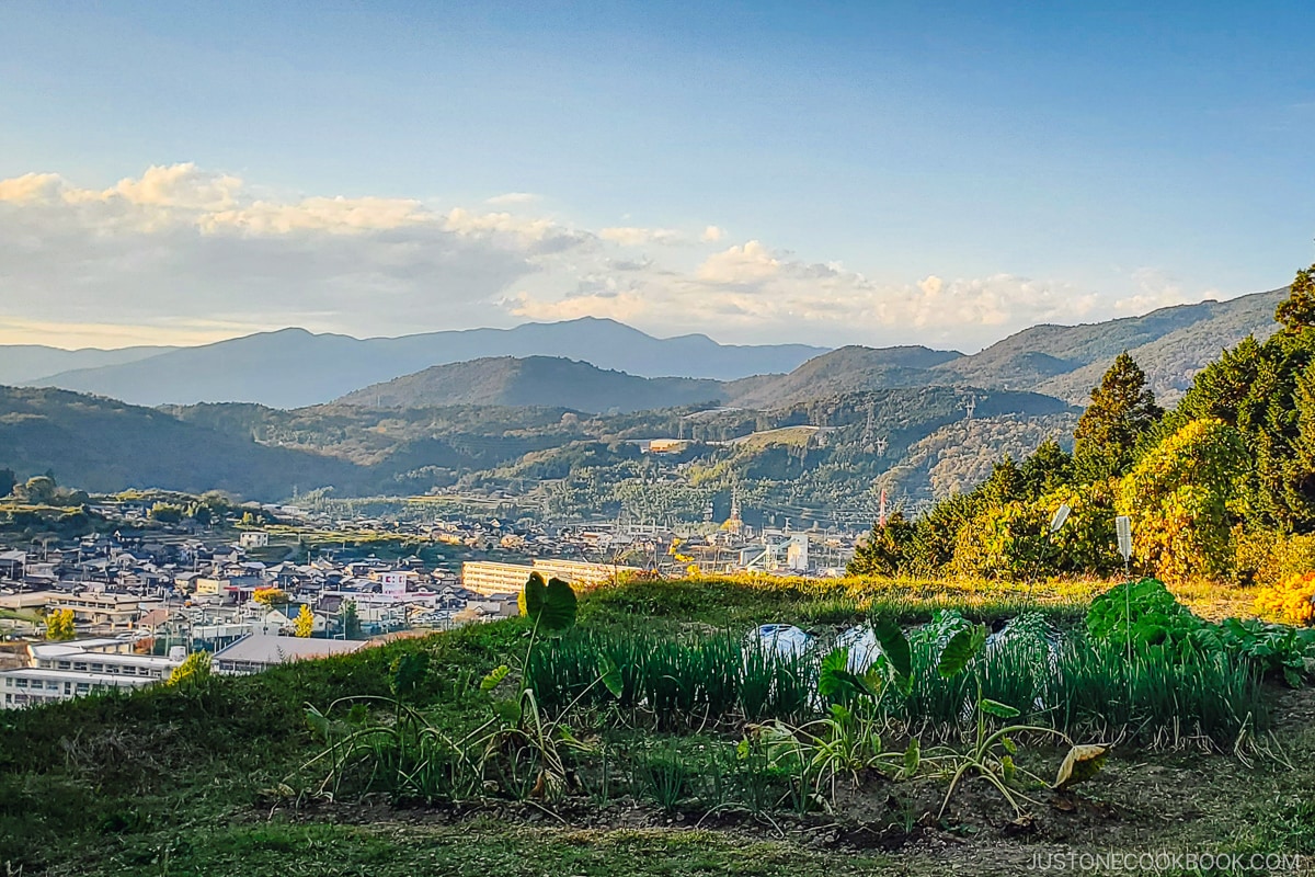Rural views in Ena